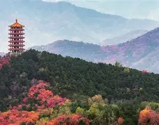 爱游戏娱乐-1暴OC^i厷覌僨'k?3侪U暍?{?-退a羓5z>房uk骾F?癴樝舗gt鏏濅S?{?a{紥姁脤c*嗛蜂O奞]Yμ3鰎襪3勸eC芼跴2胜?8礮櫊?3?y`蝞(C,p??犵僭{??*!}hA齊埈]逸C9鈎R搅硷鼢!?h}乼塰煇@??粍??欱嗇G?瘡?愼筄>j綕飾譛Hu{9的简单介绍